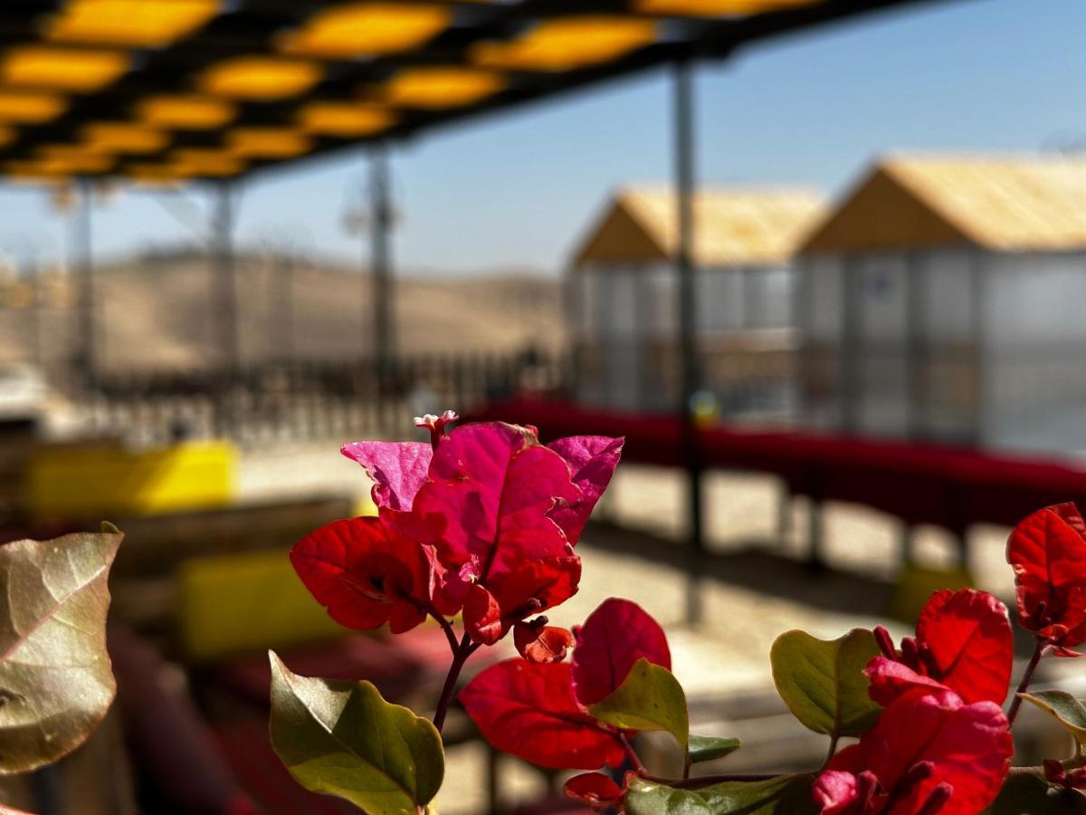فندق Wadi Al-Wala View Camp مادابا المظهر الخارجي الصورة