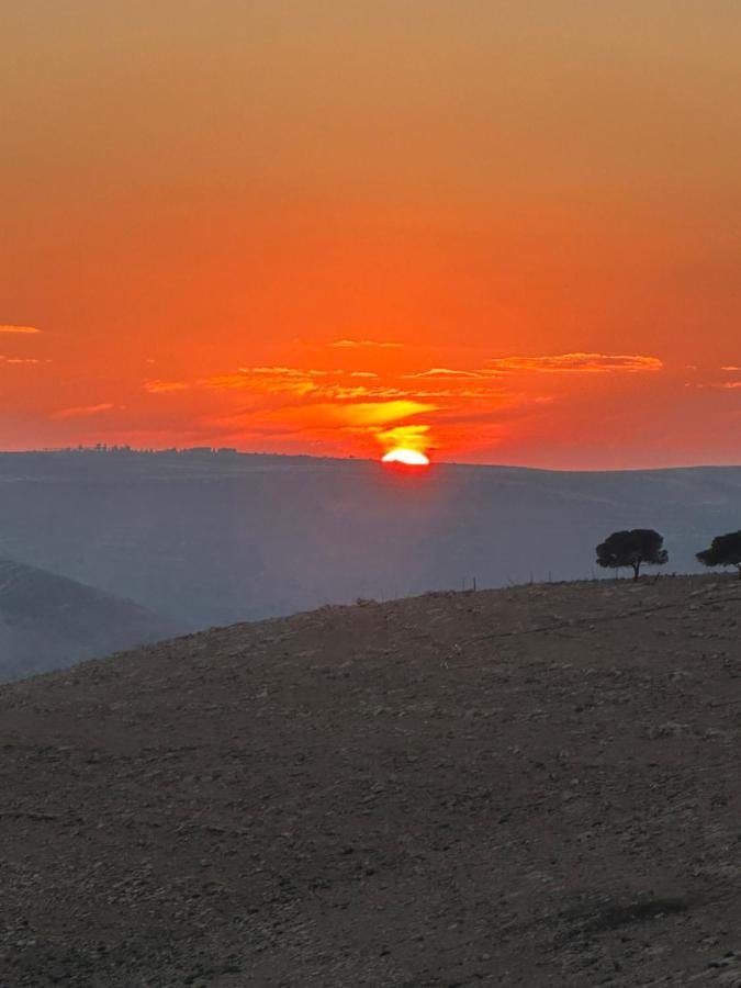 فندق Wadi Al-Wala View Camp مادابا المظهر الخارجي الصورة