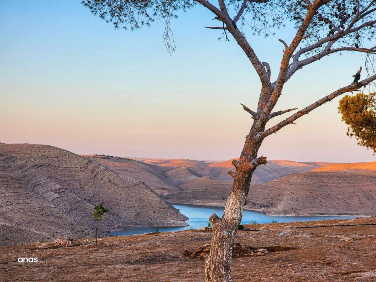 فندق Wadi Al-Wala View Camp مادابا المظهر الخارجي الصورة