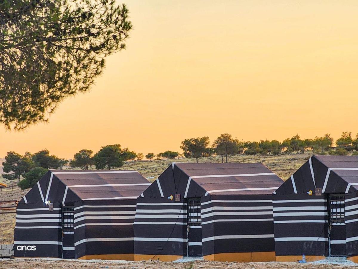 فندق Wadi Al-Wala View Camp مادابا المظهر الخارجي الصورة